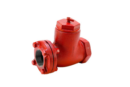 Bell & Gossett 107014 - 2-1/2" Cast Iron Straight Control Valve (S2-1/2)