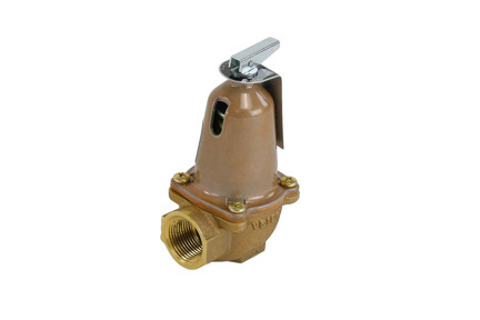 Bell & Gossett 110125 - 3/4" NPT, 75 PSI, 1,615,000 Btuh Safety Relief Valve (790-75)