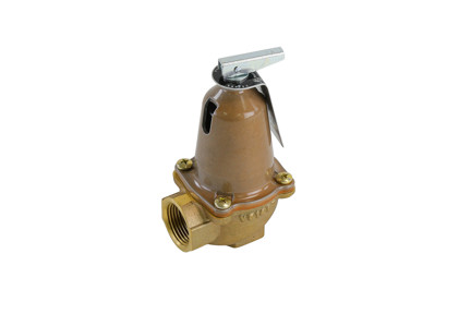 Bell & Gossett 110126 - 3/4" NPT, 100 PSI, 2,075,000 Btuh Safety Relief Valve (790-100)