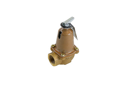 Bell & Gossett 110127 - 3/4" NPT, 125 PSI, 2,535,000 Btuh Safety Relief Valve (790-125)