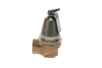 Bell & Gossett 110129 - 1" NPT, 30 PSI, 1,170,000 Btuh Safety Relief Valve (1170-30)