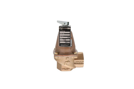Bell & Gossett 110131 - 1" NPT, 45 PSI, 1,575,000 Btuh Safety Relief Valve (1170-45)