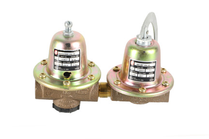 Bell & Gossett 110199LF - 1/2" NPT, 30 PSI, 10-25 PSI, Dual Reducing Valve (8)
