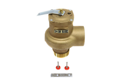 14-206-08G - 2-1/2" MNPT x 2-1/2" FNPT, 15 PSI, 4,676 lb/hr Relief Valve (Test Gag)