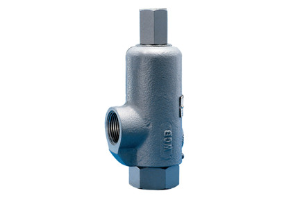 Kunkle 171S - 1-1/4", 220 PSI, Non-Code Liquid Relief Valve