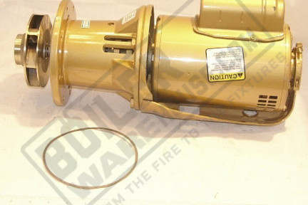 Bell & Gossett 172648LF