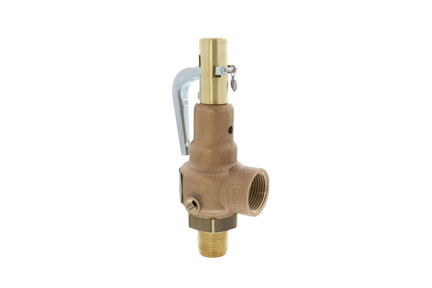 19-KHGA-50 - 1-1/2" MNPT x 2" FNPT, 50PSI, 2,608 lb/hr Relief Valve