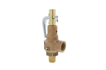 19-KJHL-50 - 2" MNPT x 2-1/2" FNPT, 50 PSI, 4,475 lb/hr Relief Valve