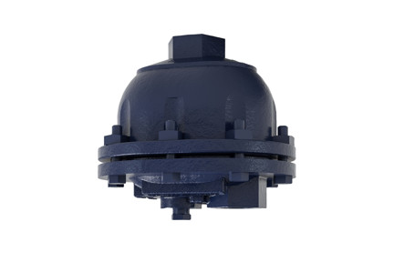 21LD - 3/4" NPT, 1/16" Orifice, 250 PSI, Cast Iron Liquid Drainer