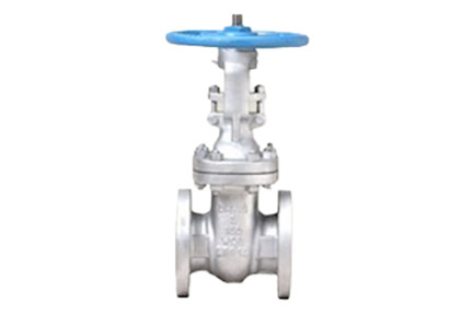 Davis 30FGAW - 2-1/2", 300#, Flanged Gate Valve