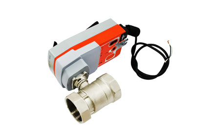 B250+AFRBUP - 2" NPT, Ball Valve with 24V, 180 in-lb Motor Actuator