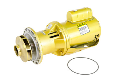 Bell & Gossett 1EF003LF - 3/4 HP, e60 Series Bronze Centrifugal Pump Less Volute