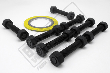 2" 150# Flange Bolt Packs W/ B7 Bolts, Nuts, and 304SS Spiral Wound Gasket