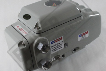 INDUSTRIAL SERVO MOTOR AUTOFLAME